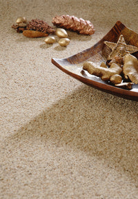 Brockway - Orion Twist Carpet