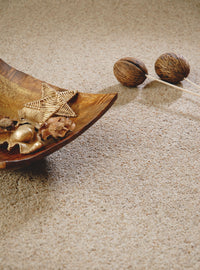 Brockway - Orion Twist Carpet