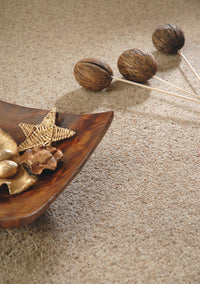 Brockway - Orion Twist Carpet
