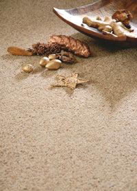 Brockway - Orion Twist Carpet
