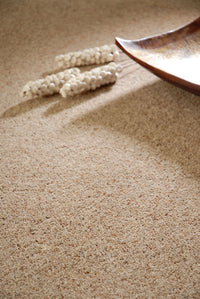 Brockway - Orion Twist Carpet
