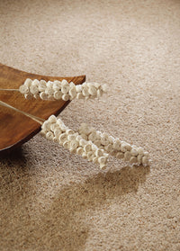 Brockway - Orion Twist Carpet