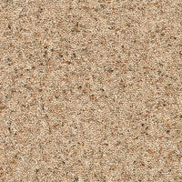Brockway - Orion Twist Carpet