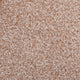 Stain Away Ultimate Harvest Heathers Carpet