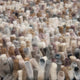 Brink & Campman Rugs - Rocks (Multiple Colours Available)