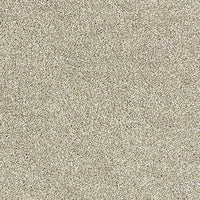 Aphrodite Plus Carpet