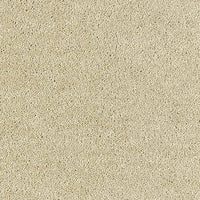 Aphrodite Plus Carpet
