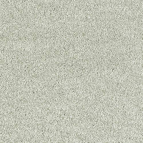 Aphrodite Plus Carpet