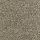 Aphrodite Plus Carpet