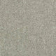 Aphrodite Plus Carpet
