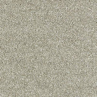 Aphrodite Plus Carpet