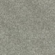 Aphrodite Plus Carpet