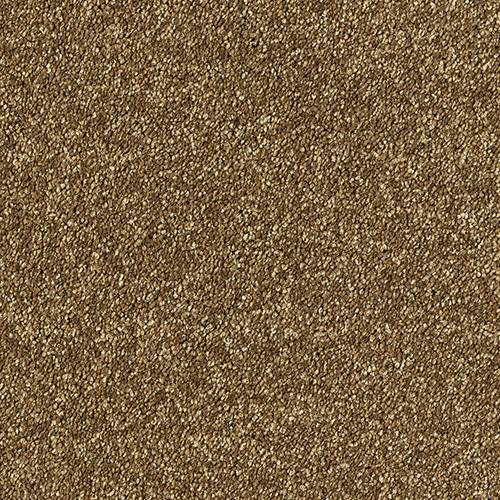 Aphrodite Plus Carpet