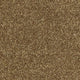 Aphrodite Plus Carpet