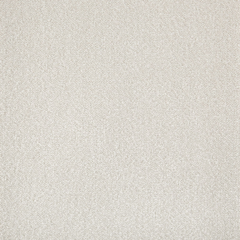 Cabernet Carpet - ITC
