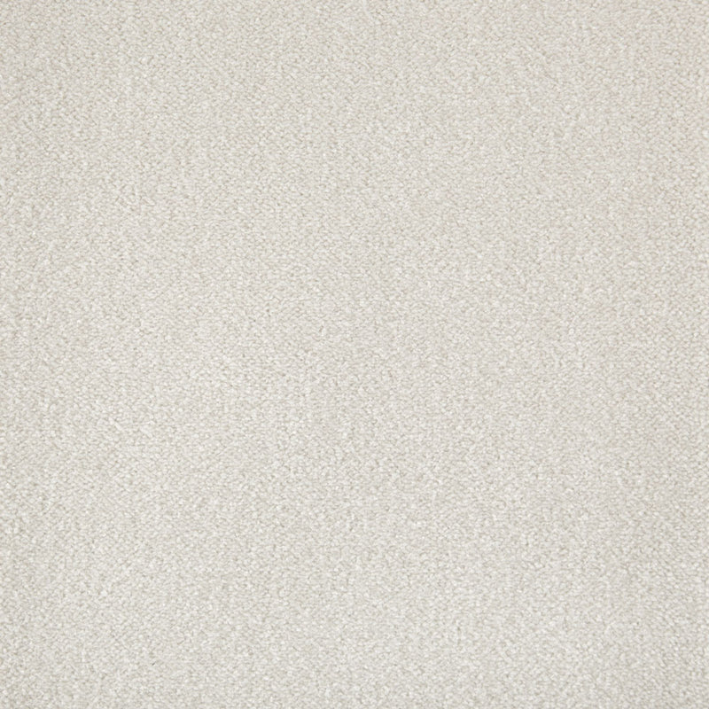 Cabernet Carpet - ITC