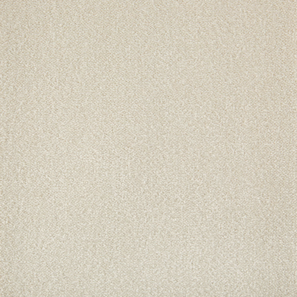 Cabernet Carpet - ITC