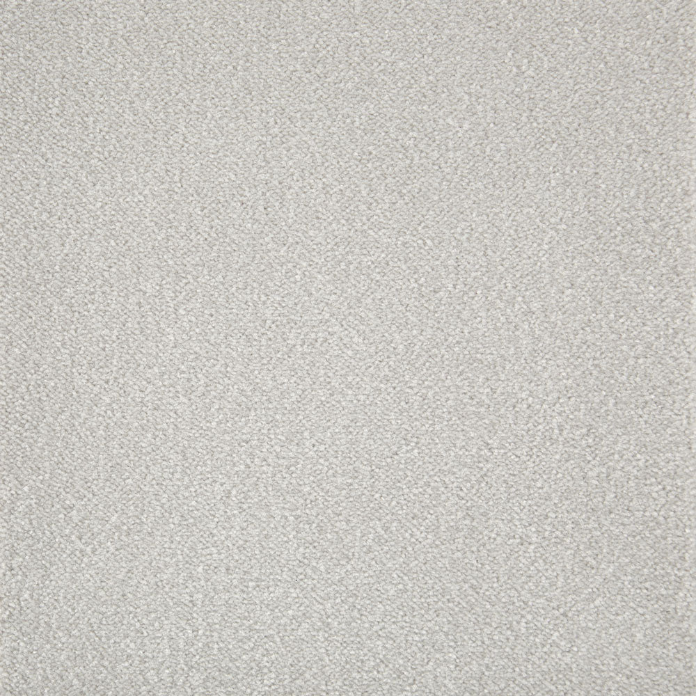 Cabernet Carpet - ITC