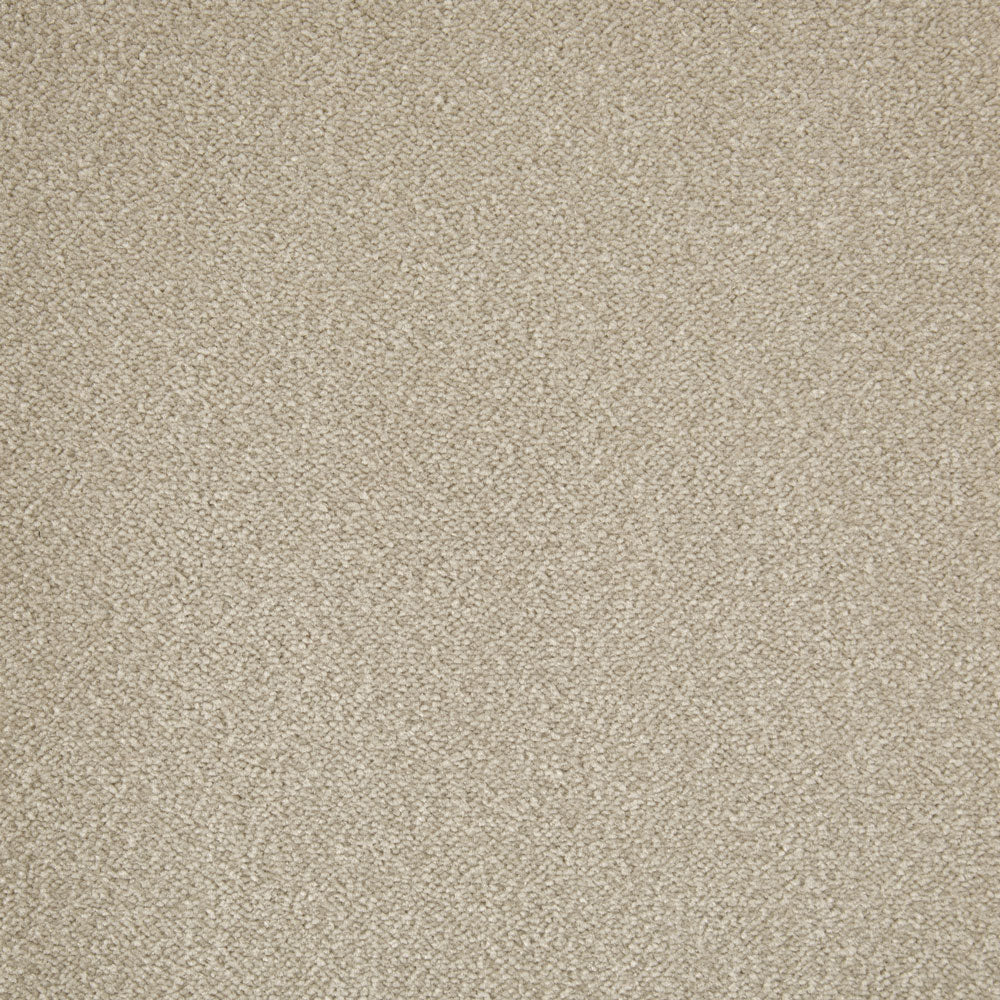 Cabernet Carpet - ITC