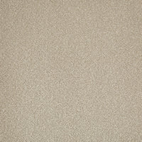 Cabernet Carpet - ITC