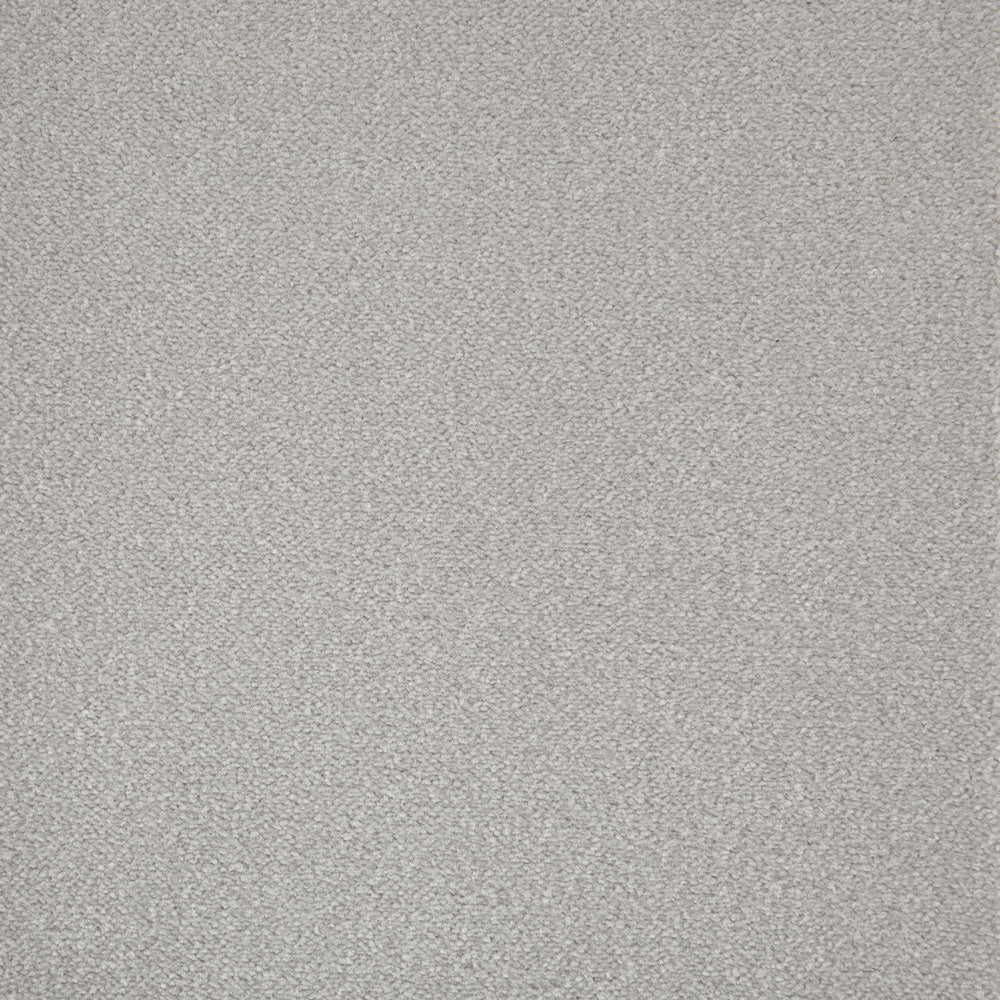 Cabernet Carpet - ITC