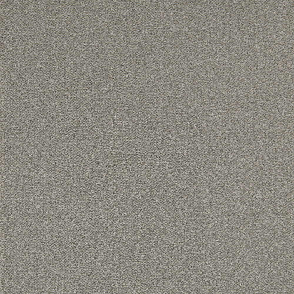 Cabernet Carpet - ITC
