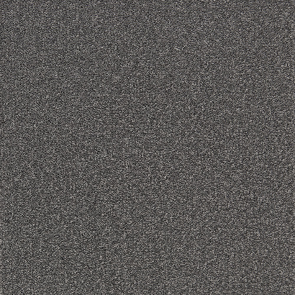 Cabernet Carpet - ITC