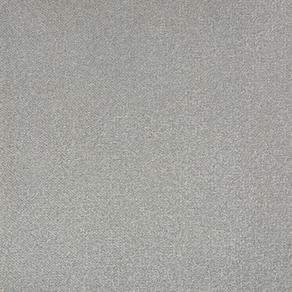 Cabernet Carpet - ITC