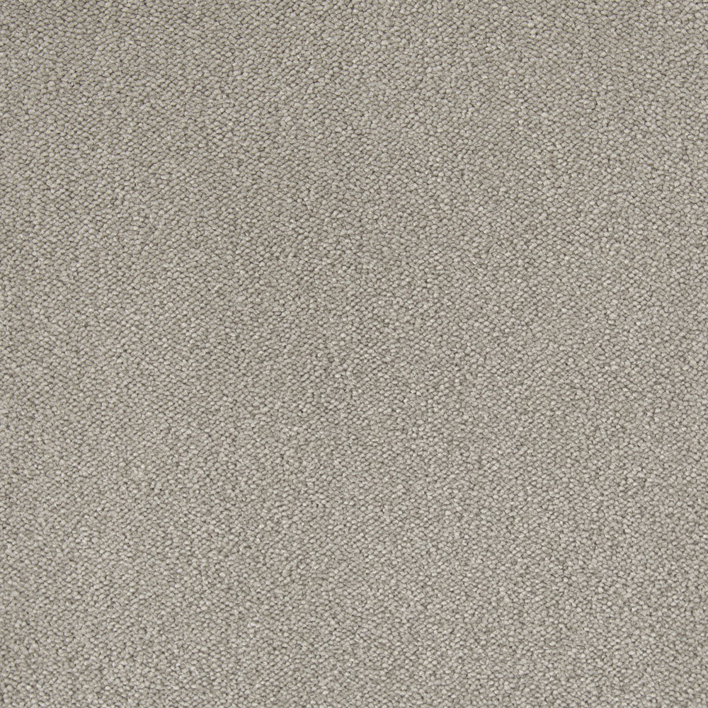 Chablis Carpet - ITC