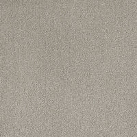 Chablis Carpet - ITC