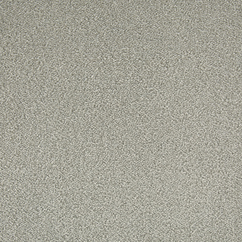 Chablis Carpet - ITC