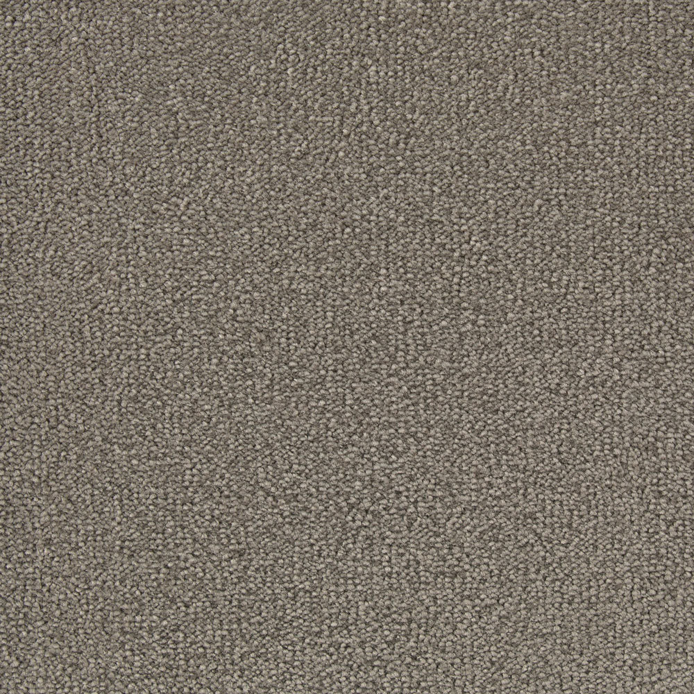 Chablis Carpet - ITC