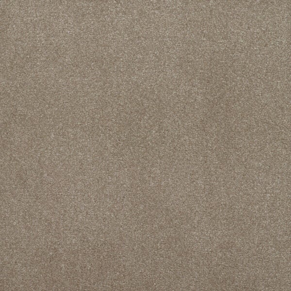 Addiction Carpet