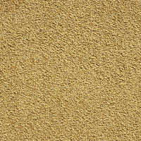 Bellagio Carpet - ITC