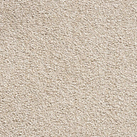 Bellagio Carpet - ITC