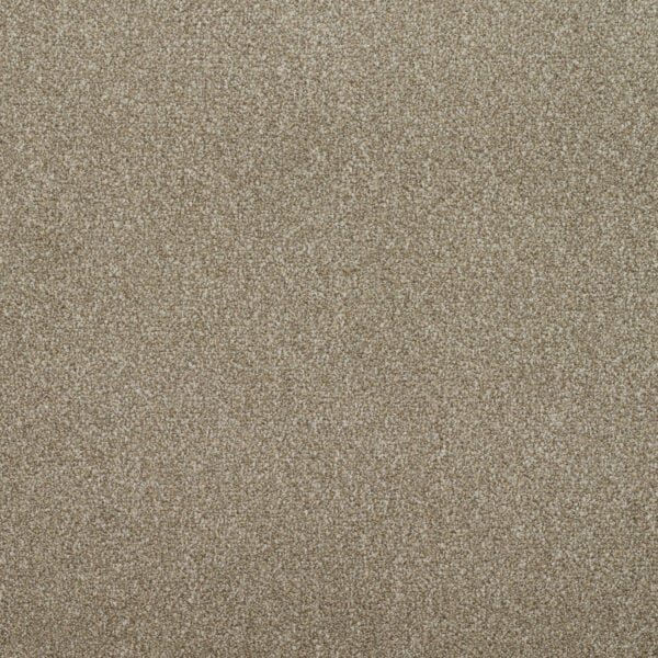 Addiction Carpet