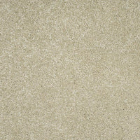 Orion 50oz Carpet