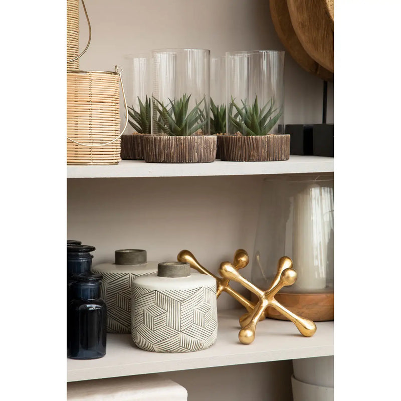 Succulent Terrariums