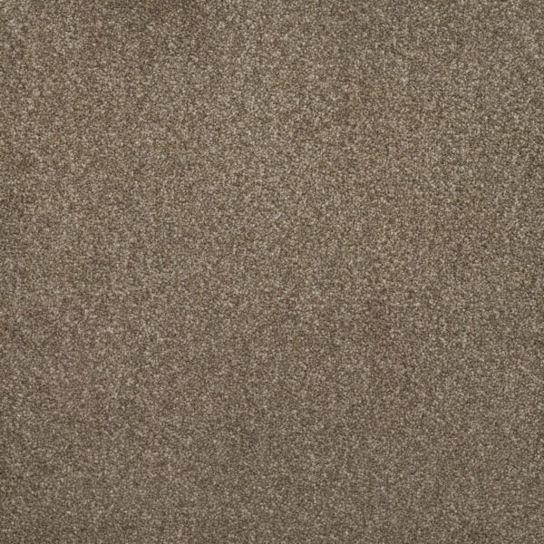 Addiction Carpet