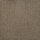Addiction Carpet