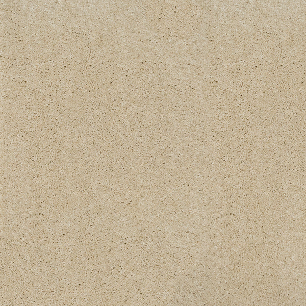 Orion 50oz Carpet