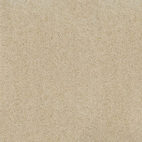 Orion 50oz Carpet