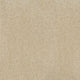 Orion 50oz Carpet