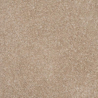Orion 50oz Carpet
