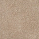 Orion 50oz Carpet
