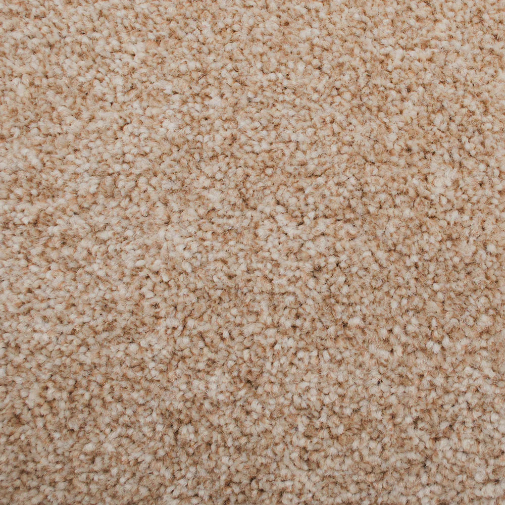 Stain Away Ultimate Harvest Heathers Carpet