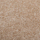 Stain Away Ultimate Harvest Heathers Carpet