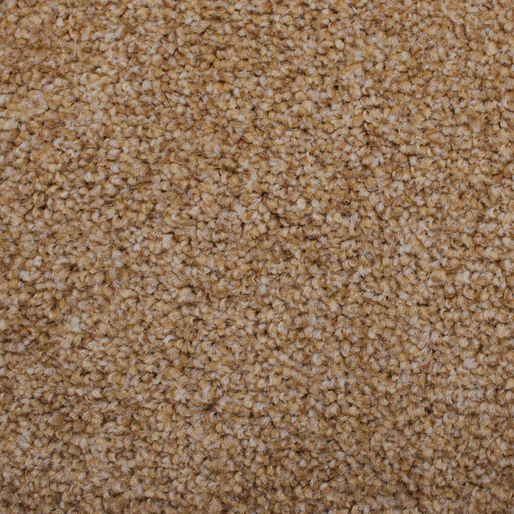 Stain Away Ultimate Harvest Heathers Carpet