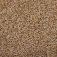 Stain Away Ultimate Harvest Heathers Carpet