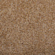 Stain Away Ultimate Harvest Heathers Carpet